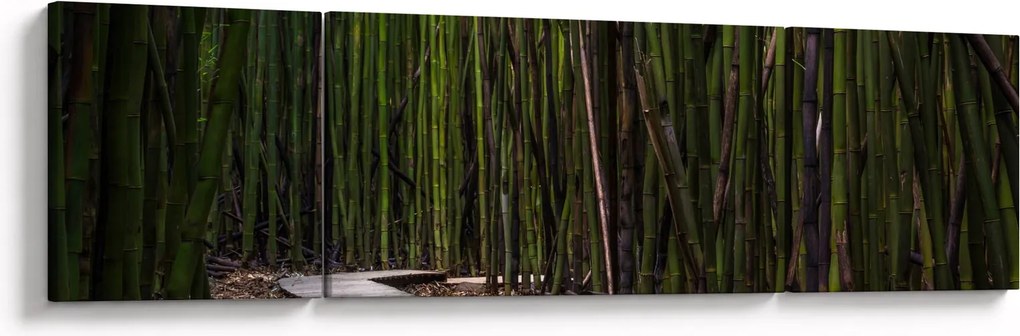 Obraz - Wśród bambusów (170x50 cm)