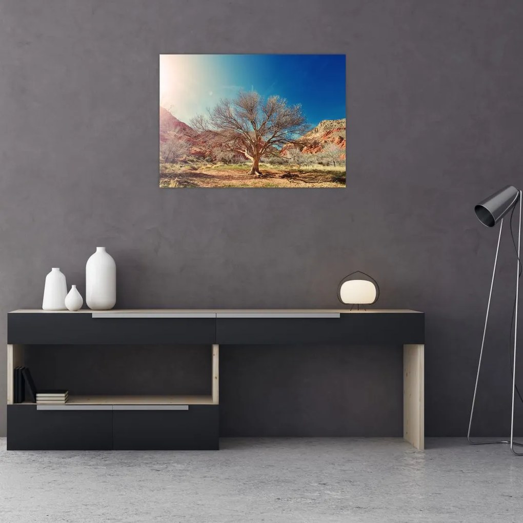 Obraz na szkle drzewa na pustyni (70x50 cm)
