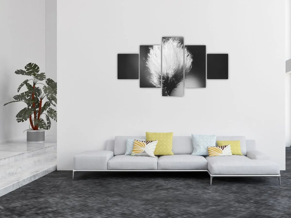 Obraz - Czarno-biała trawa bawełniana (125x70 cm)