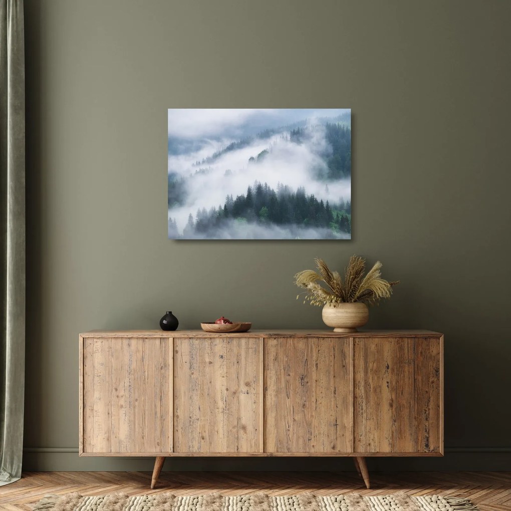 Obraz na szkle - Drzewa we mgle (70x50 cm)