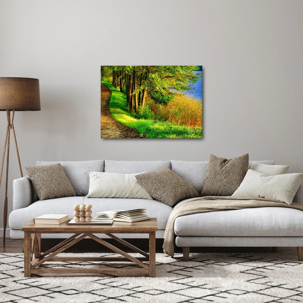 Obraz szlaku wzdłuż wody (70x50 cm)