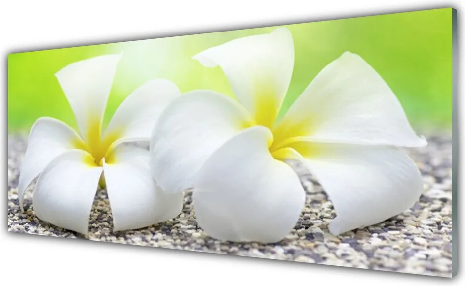 Panel Kuchenny Romantyczna Flora Ogrodowa