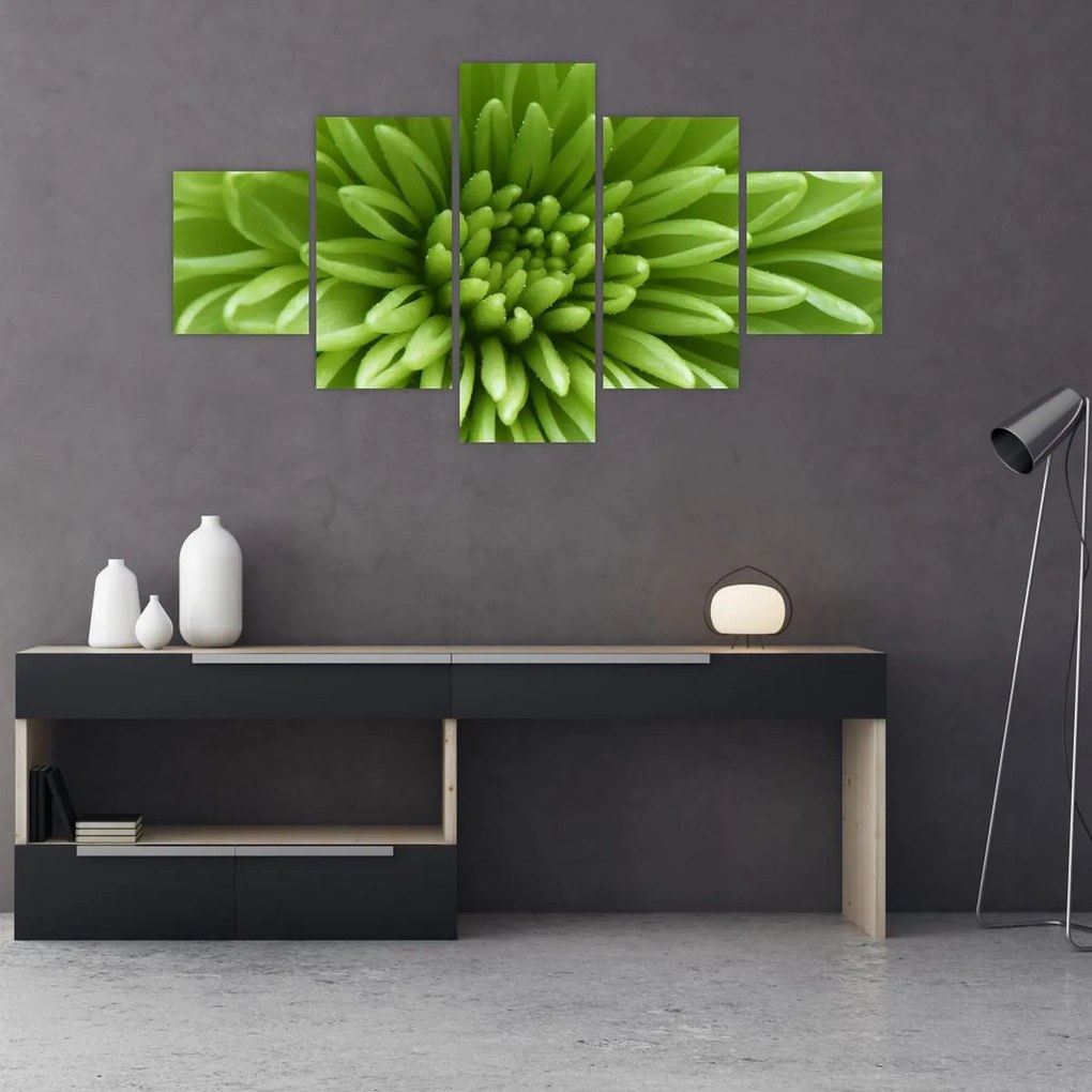 Obraz - Obraz rośliny w trybie makro (125x70 cm)