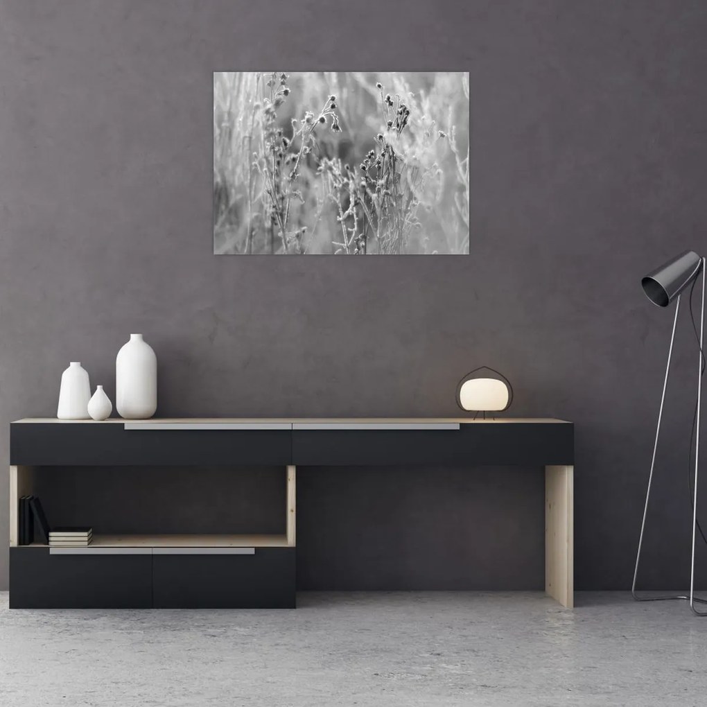 Obraz - Dzika łąka (70x50 cm)