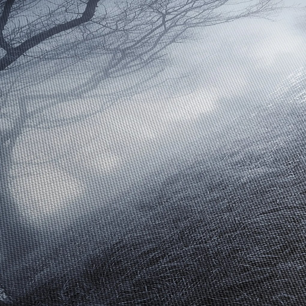 Obraz- Droga we mgle (170x50 cm)