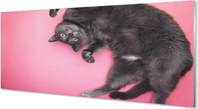 Panel nad Blat Kuchenny Kot w Pozycji Leżącej