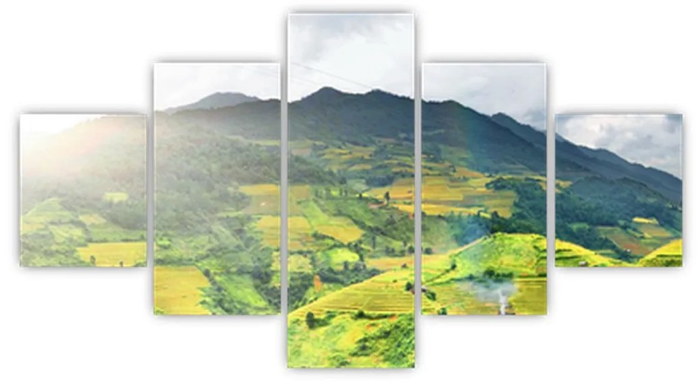Obraz plantacji (125x70 cm)