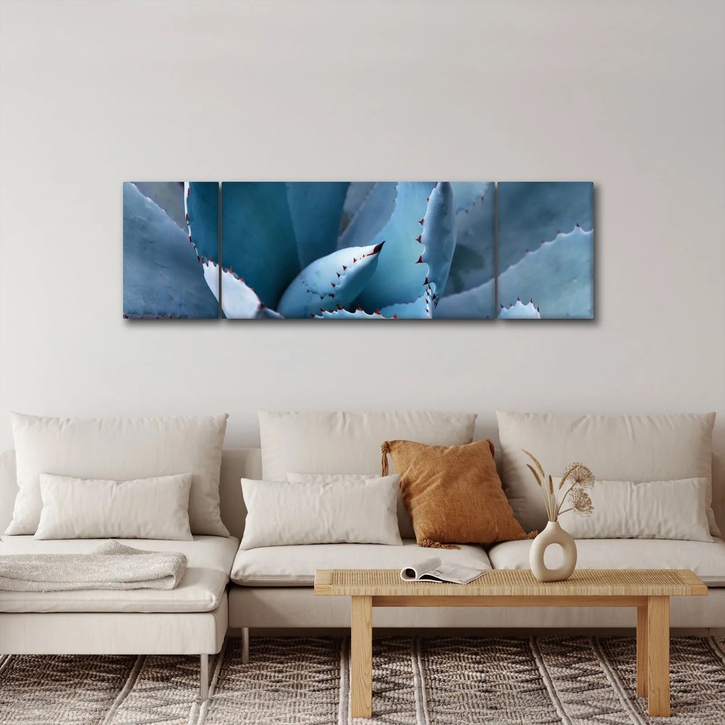 Obraz - Agawa (170x50 cm)