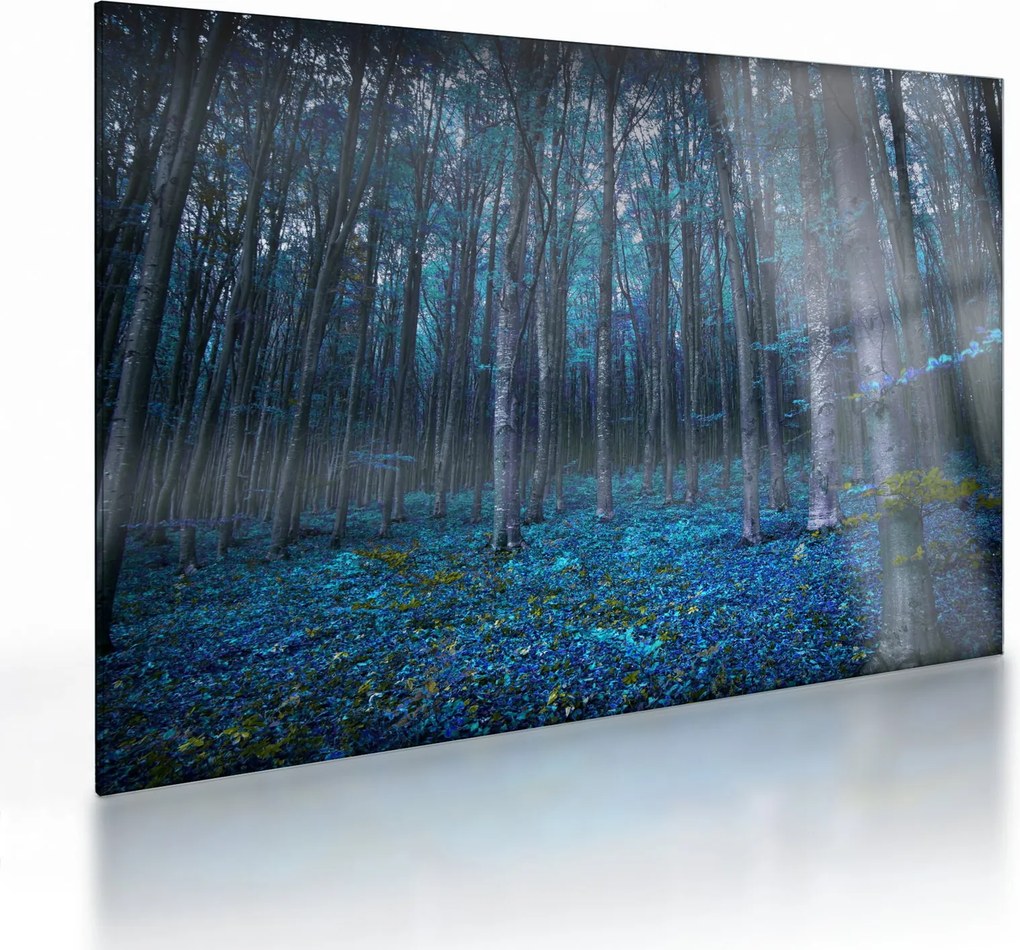 Obraz na szkle - Magiczny las (70x50 cm)