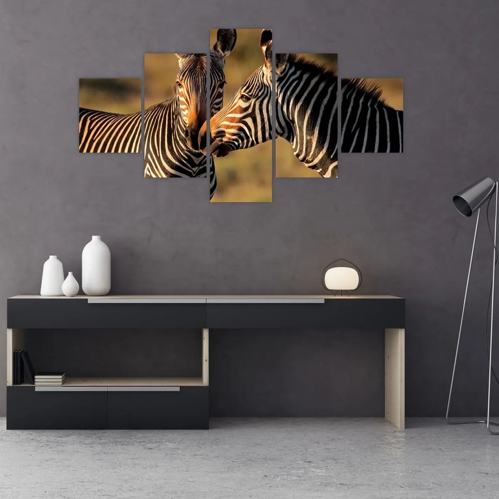 Obraz - Dwie zebry (125x70 cm)