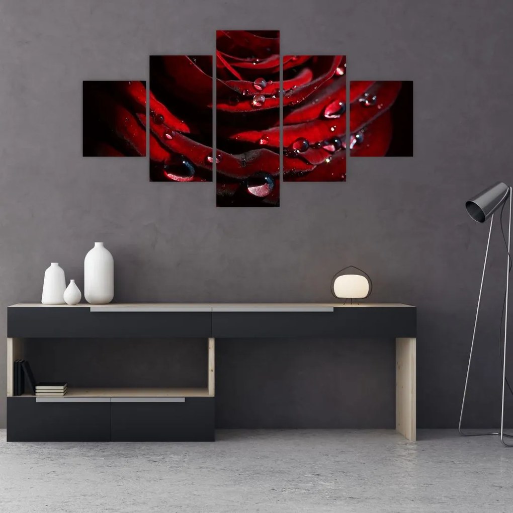 Obraz - Detal róży (125x70 cm)