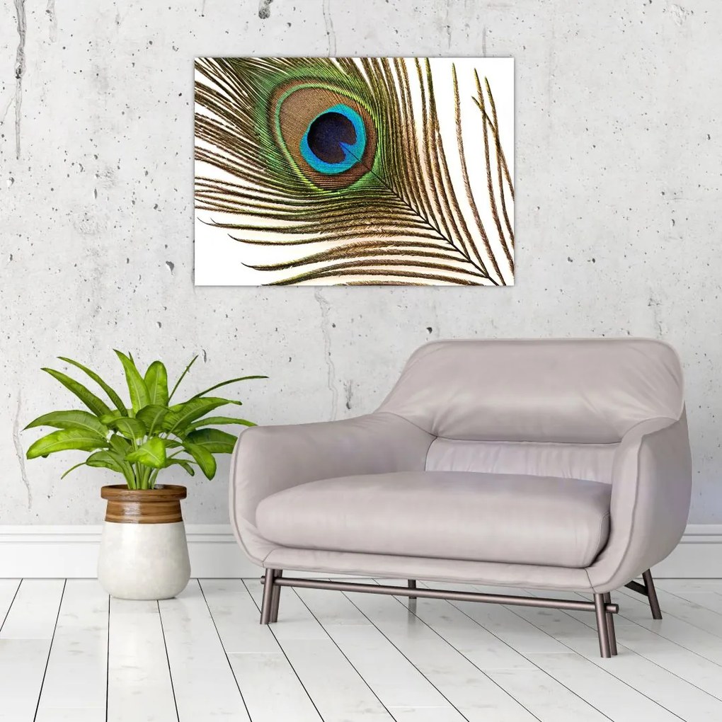 Obraz pawich piór (70x50 cm)