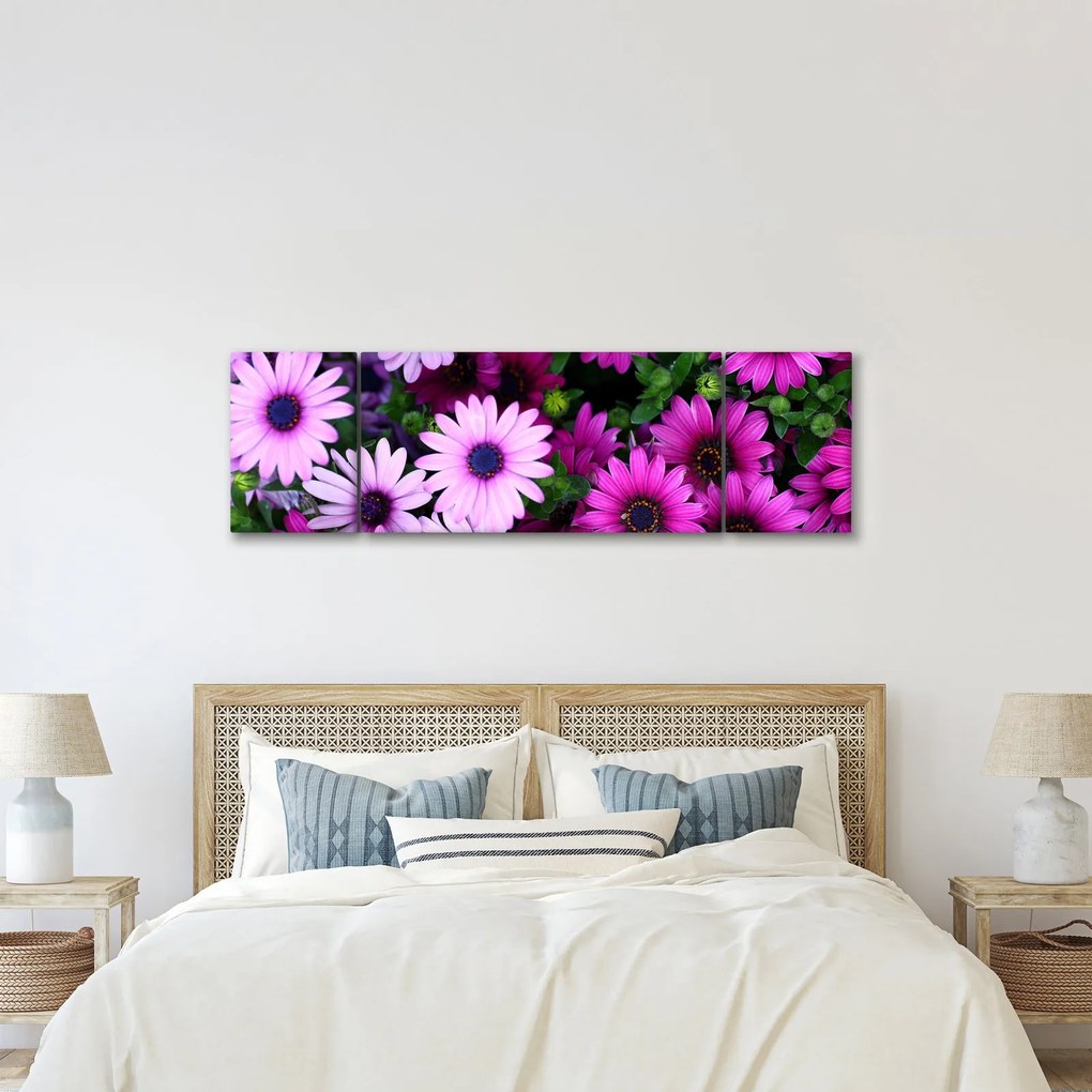 Obraz - Kwiaty (170x50 cm)