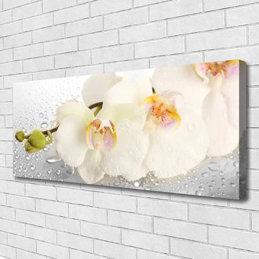 Fotoobraz na płótnie Romantyczna Kompozycja Kwiatowa