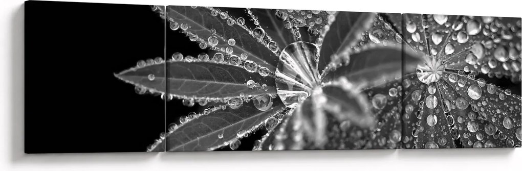 Obraz - Krople (170x50 cm)