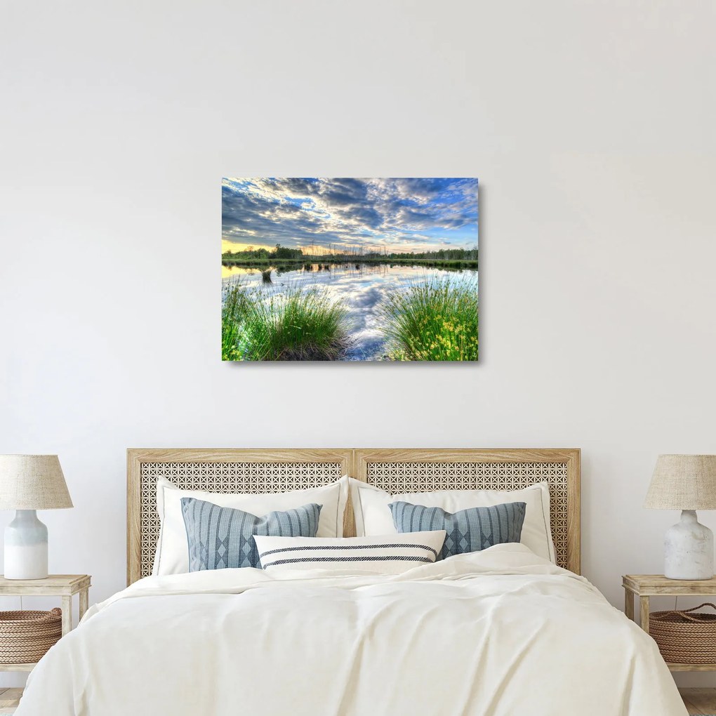 Obraz na szkle jeziora z trzcinami (70x50 cm)