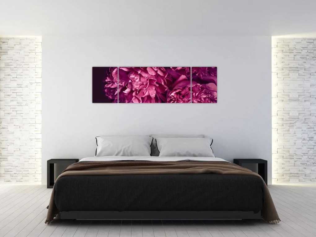 Obraz - Kwiaty piwonii (170x50 cm)