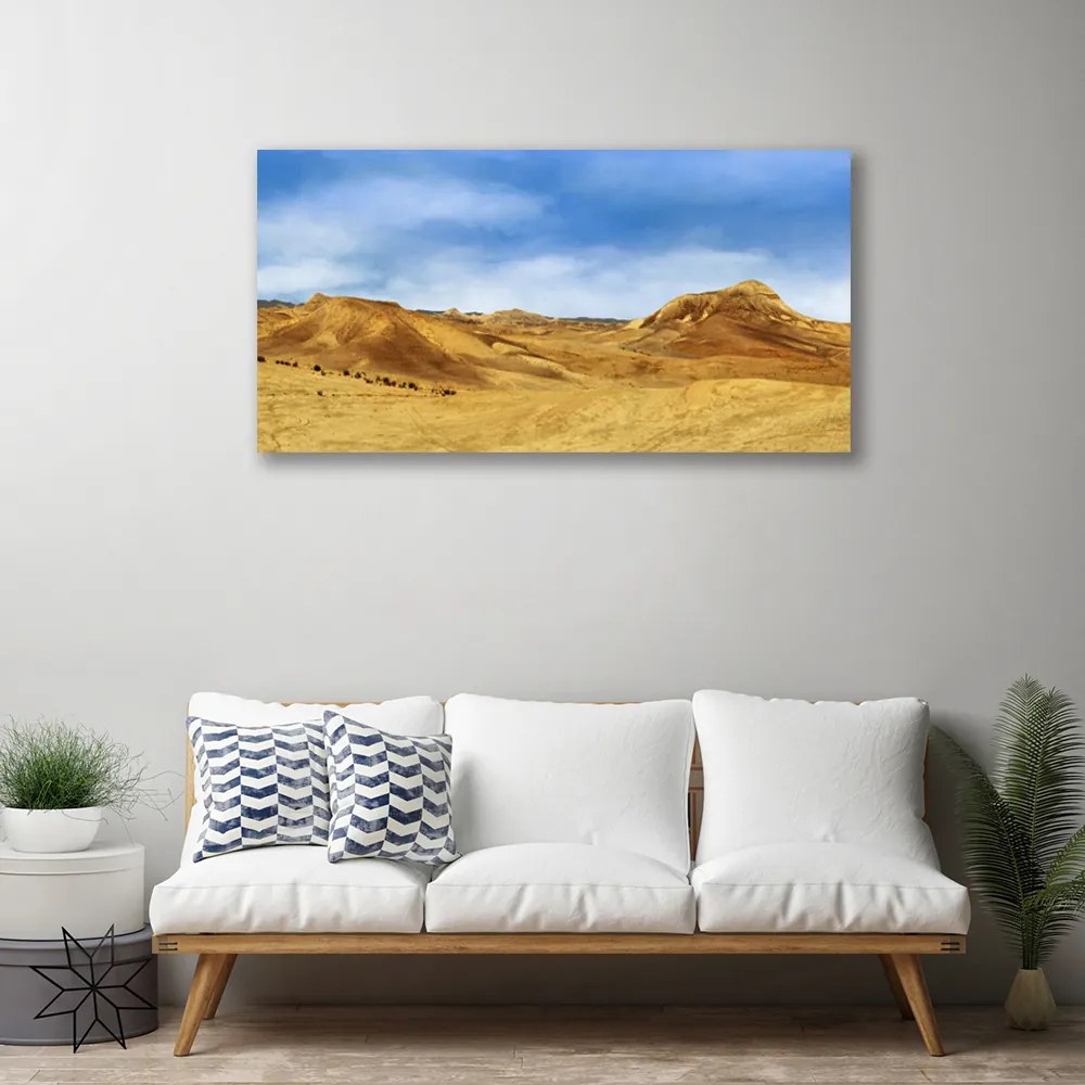 Obraz Canvas Pustynia Wzgórza Krajobraz