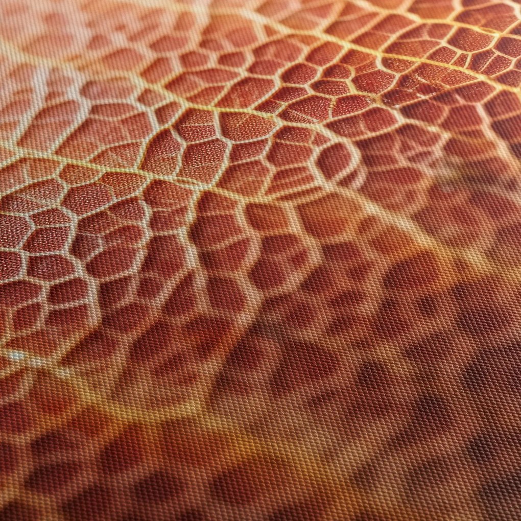 Obraz - Szczegóły tekstury (170x50 cm)