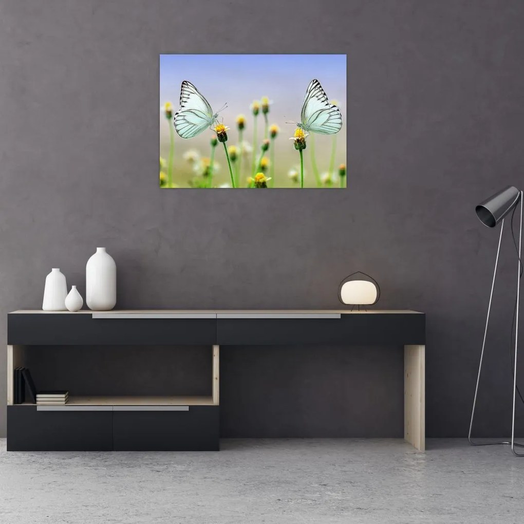 Obraz na szkle motyli na kwiatku (70x50 cm)