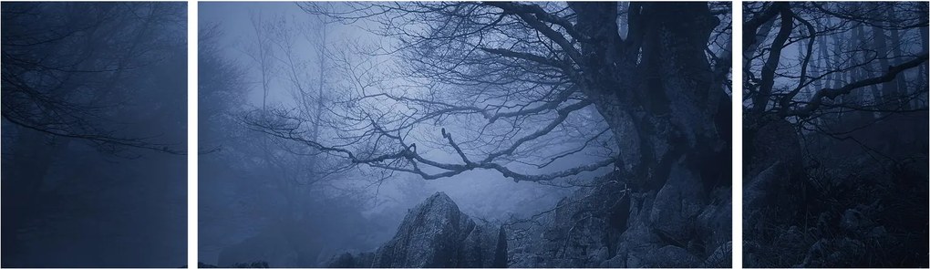 Obraz ciemnego lasu (170x50 cm)