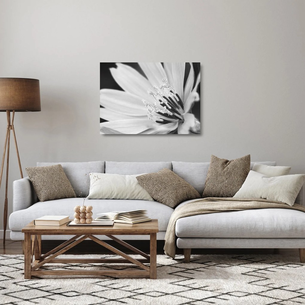 Obraz na szkle - Czarno-biały kwiat (70x50 cm)