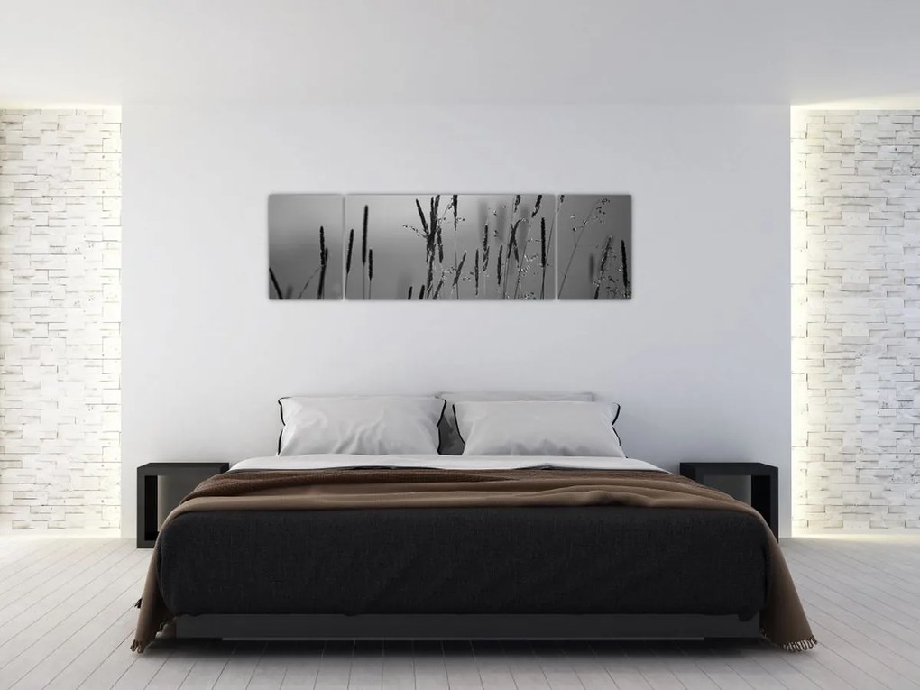 Obraz - źdźbła trawy (170x50 cm)