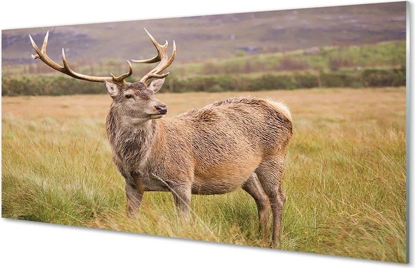 Panel Szklany Samotny Jeleń na tle Horyzontu