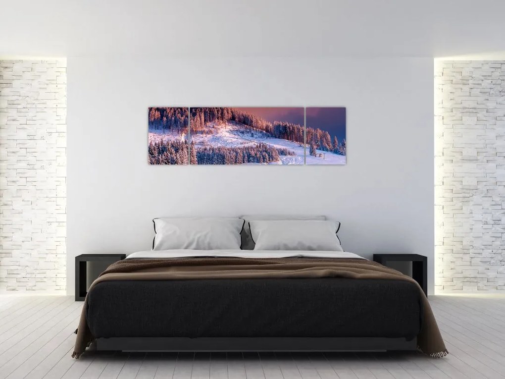 Obraz zimowego krajobrazu (170x50 cm)