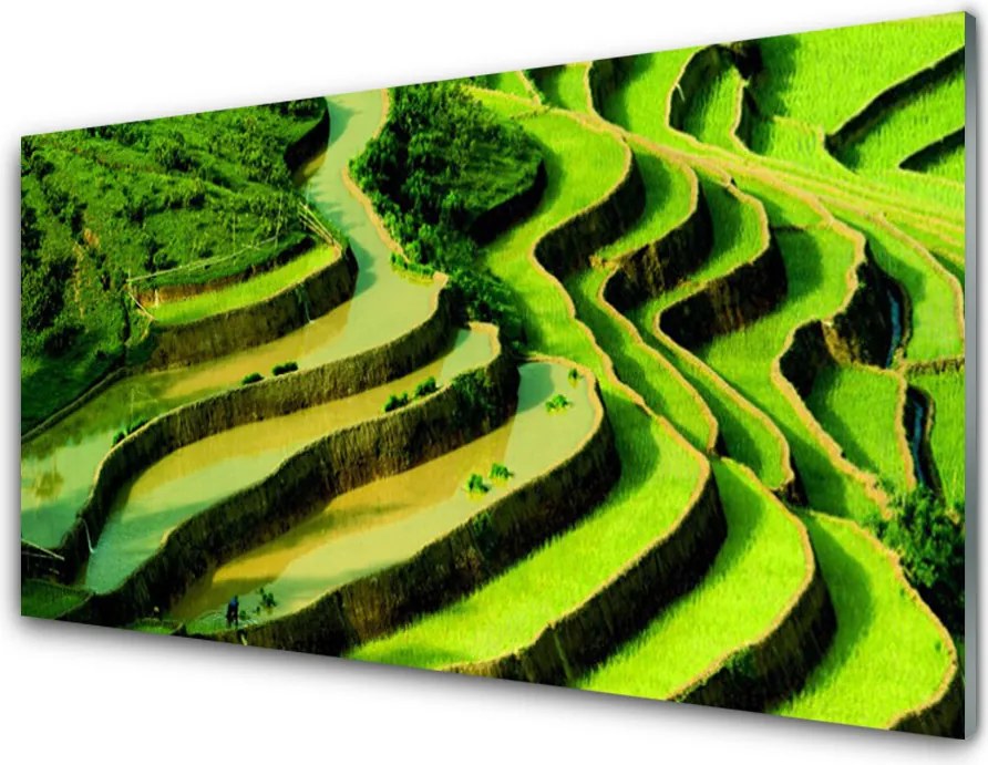 Panel Szklany Tarasy Ryżowe w Azji