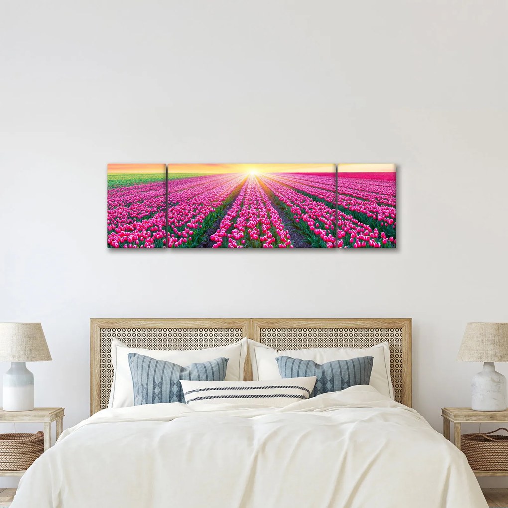 Obraz pole tulipanów ze słońcem (170x50 cm)