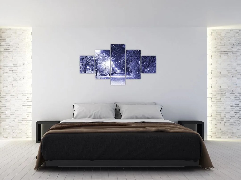 Obraz - Magiczna zimowa noc (125x70 cm)