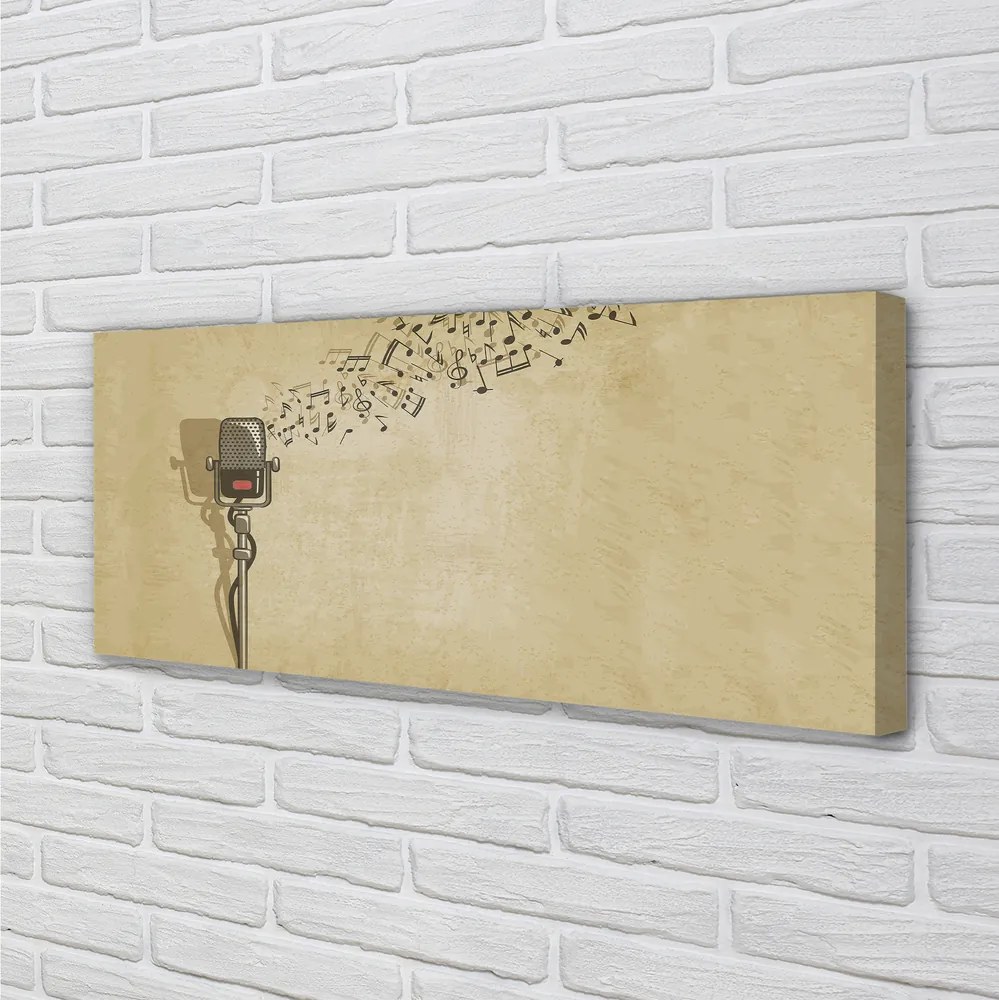 Zdjęcie na płótnie Wokalna Ekspresja Muzyczna