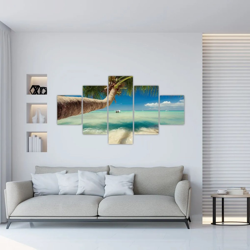 Obraz - Czyste morze z palmą (125x70 cm)