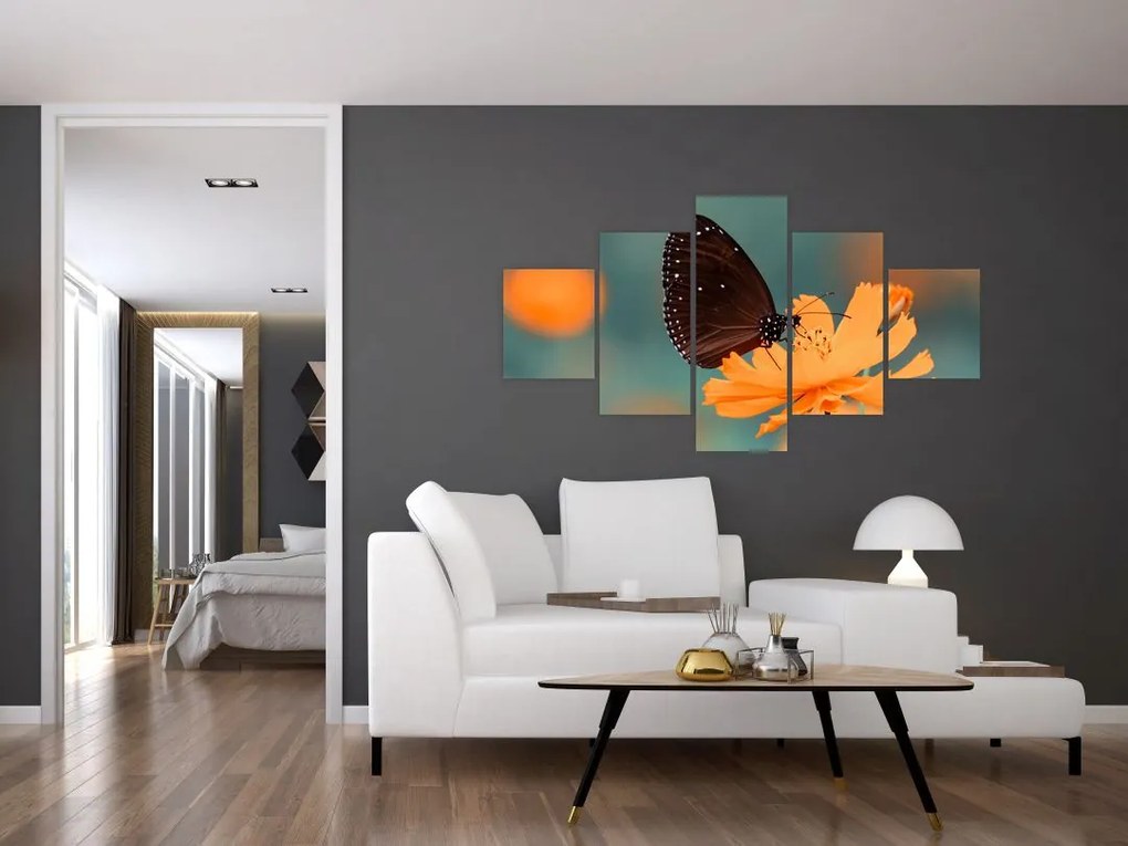 Obraz - motyl na pomarańczowym kwiatku (125x70 cm)