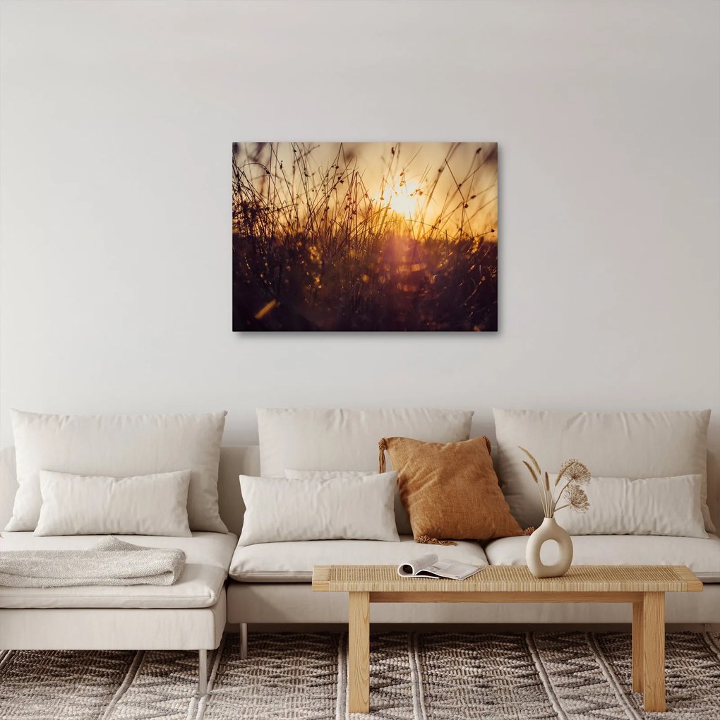 Obraz pola o zachodzie słońca (70x50 cm)