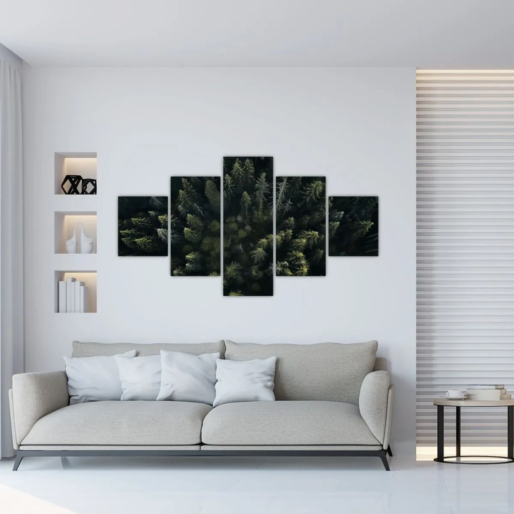 Obraz - Las (125x70 cm)