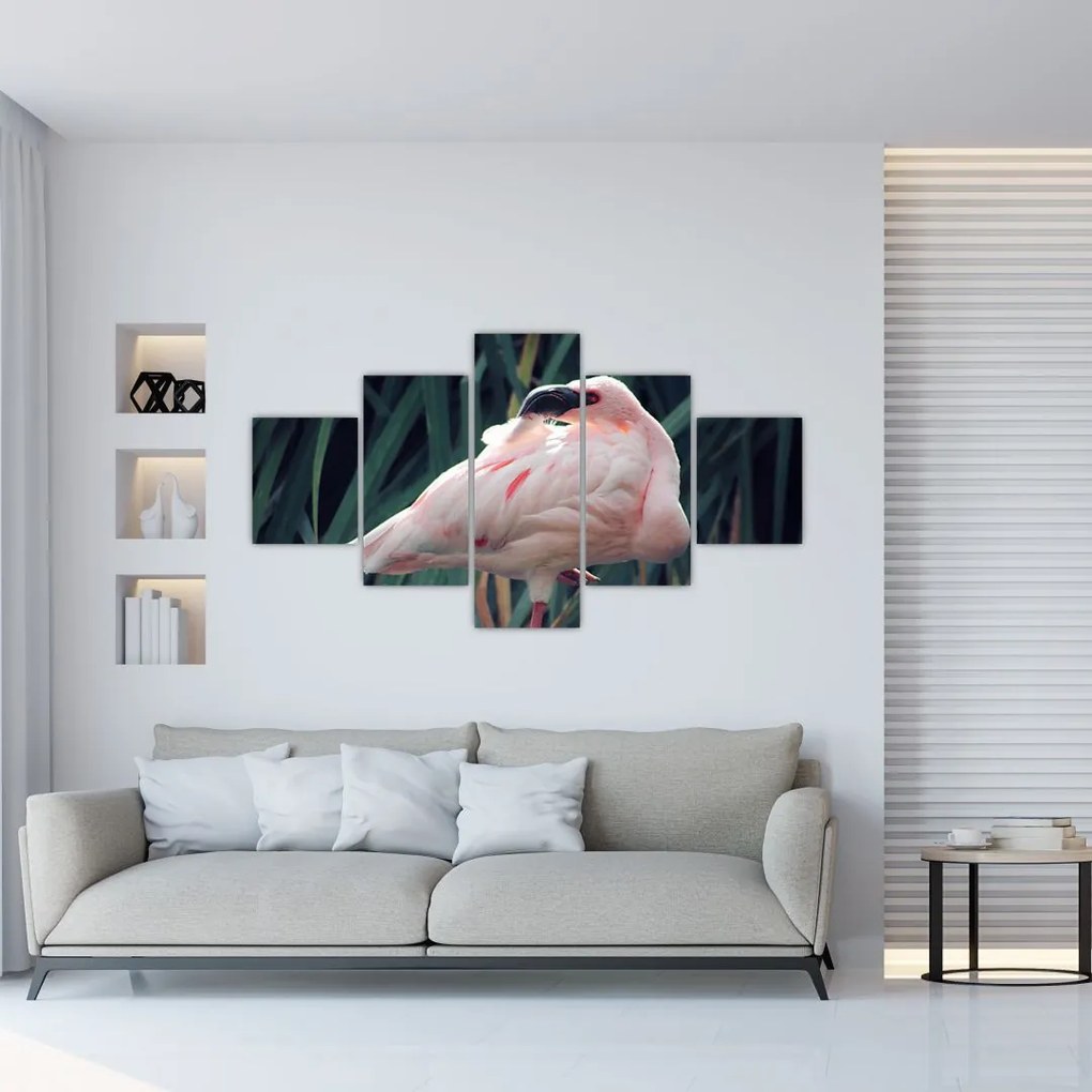 Obraz - Flaming (125x70 cm)
