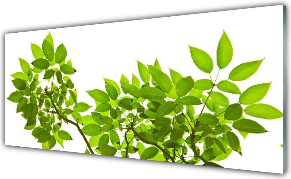 Panel Szklany do Kuchni Botaniczny Detal Roślinny