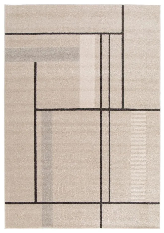 Beżowy dywan 160x230 cm Domus – Universal