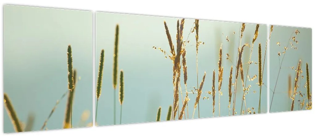 Obraz - Łąkowa chwila (170x50 cm)