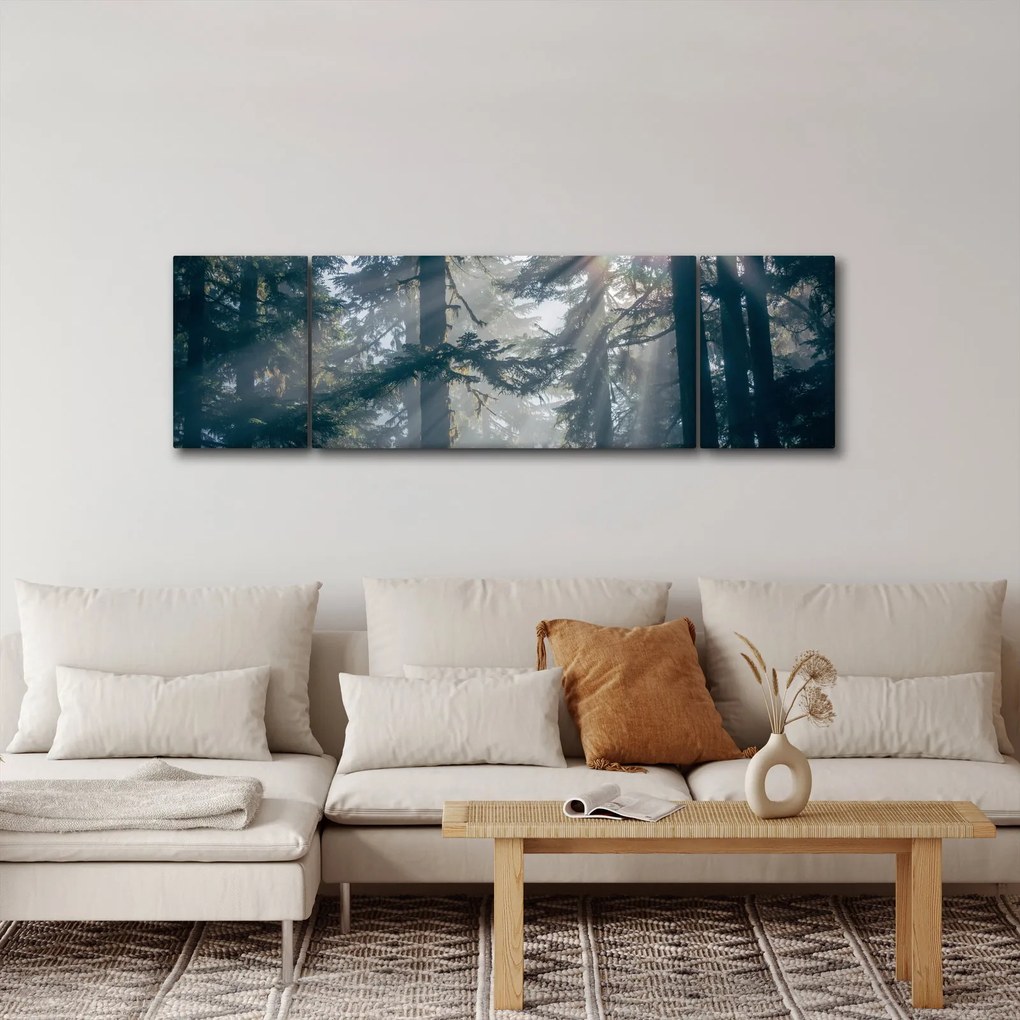 Obraz drzew, przez które prześwieca słońce (170x50 cm)