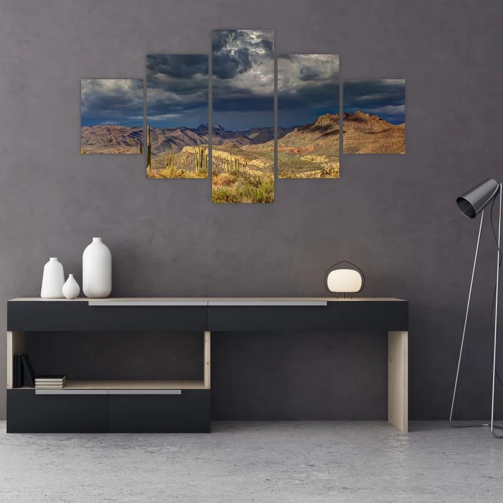 Obraz - kaktusy w przyrodzie (125x70 cm)