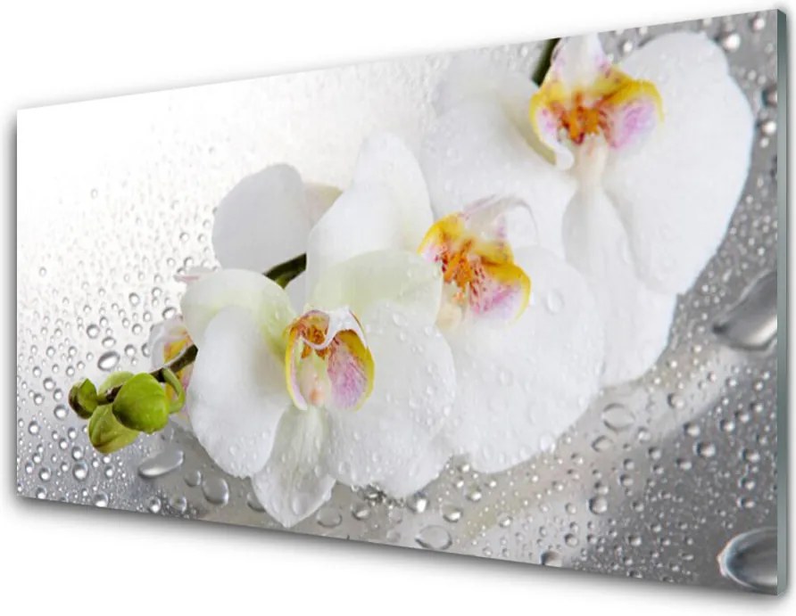 Panel Szklany Wiosenny Powiew Natury