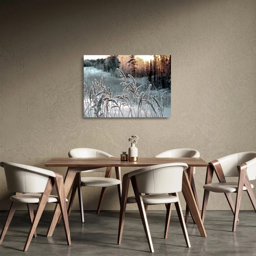 Obraz na szkle - Frozen Meadow (70x50 cm)