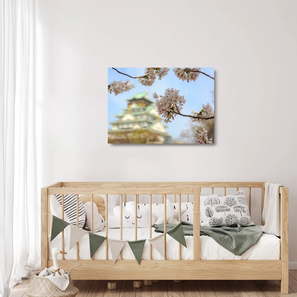 Obraz na szkle - Sakura (70x50 cm)