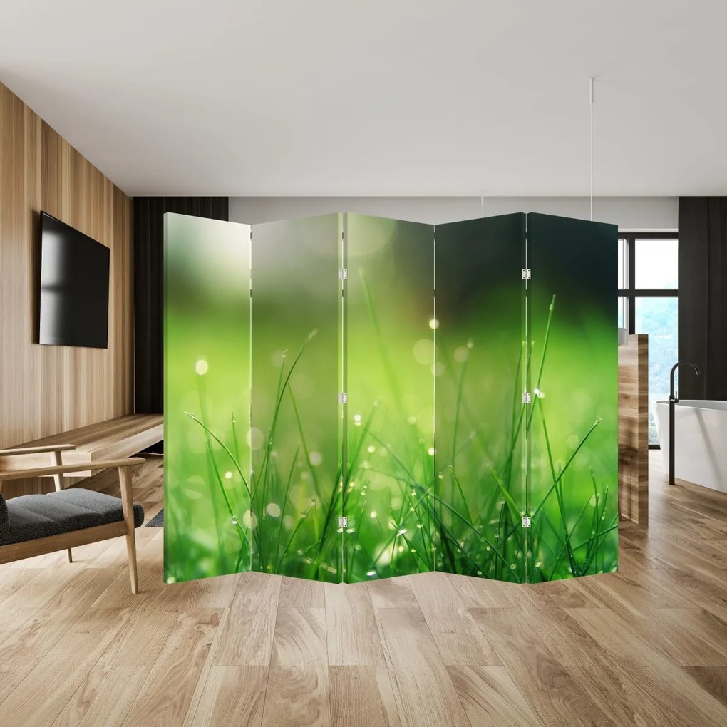Parawan - Rosa na trawie (210x170 cm)