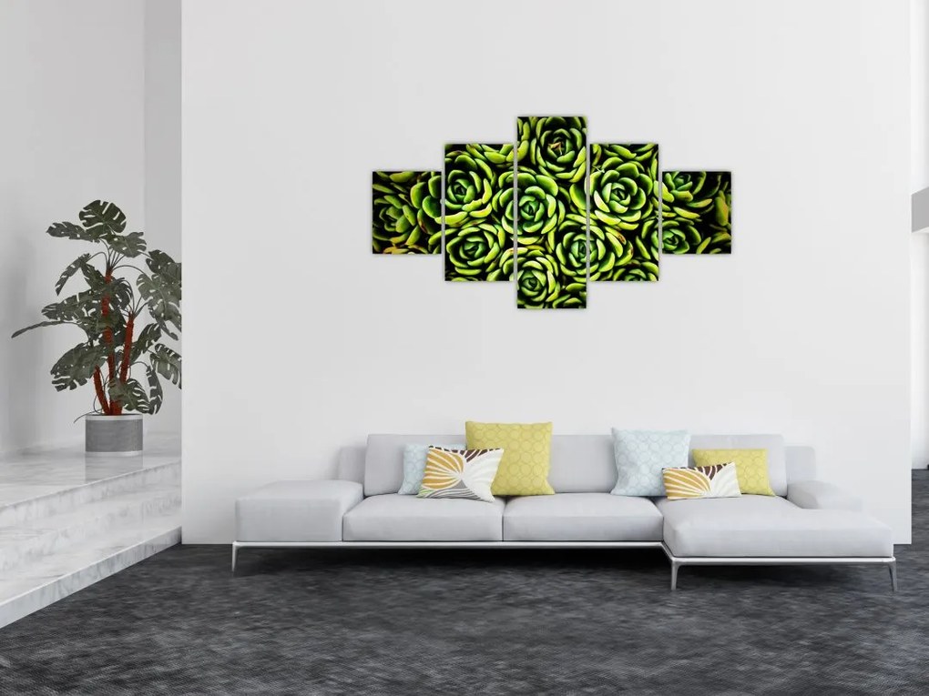 Obraz bez grzywki (125x70 cm)