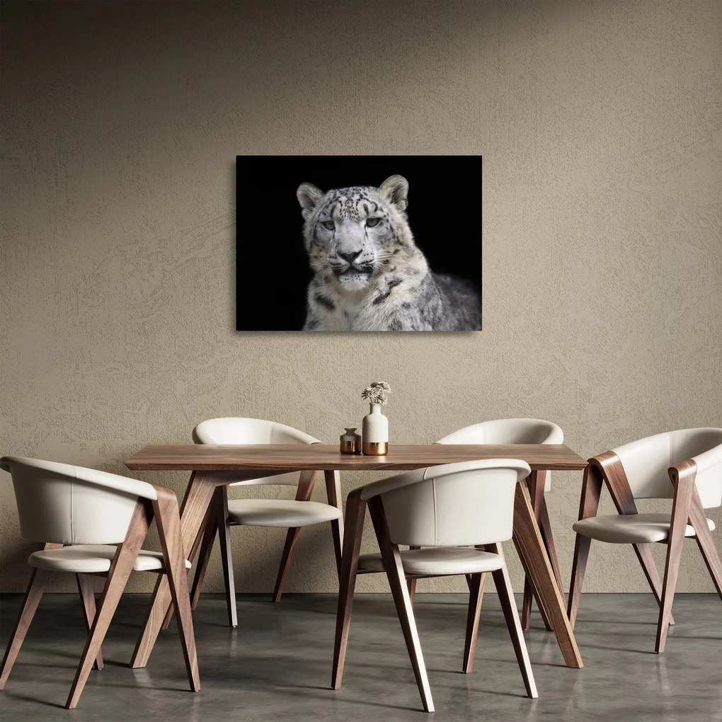 Obraz na szkle - Snow Leopard (70x50 cm)