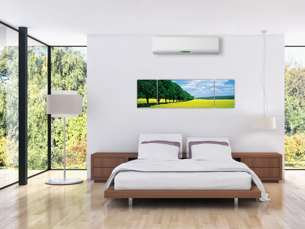 Obraz pola z aleją (170x50 cm)